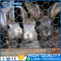 wholesale price Hot dip galvanized chicken rabbit Hexagonal wire mesh
